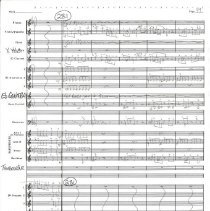 Battle Of The Ewoks Mccoy 1987 052