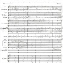 Battle Of The Ewoks Mccoy 1987 053