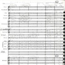 Third Century Guardians Of The Us Constitution (original) Mccoy 1987 030e