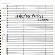 Growing Pains Mccoy 1988 003