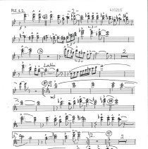 Richard Rodgers Flutes_piccolo Mccoy 1988 002