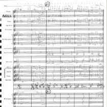 Virginia State Song Mccoy 1989 007