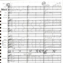 Virginia State Song Mccoy 1989 009