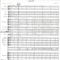 America The Beautiful Mccoy 1990 008