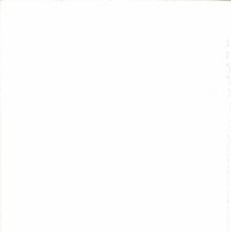 America The Beautiful Mccoy 1990 012