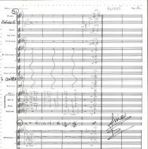 Old New Hampshire Mccoy 1990 009