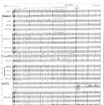 Us Army Parachute Team March Mccoy 1990 005