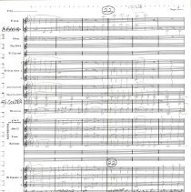 Wyoming Mccoy 1990 007