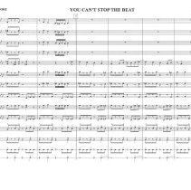 You Can't Stop The Beat Mccoy 2009 002