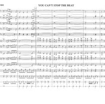 You Can't Stop The Beat Mccoy 2009 008