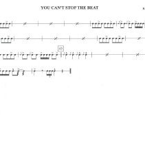 You Can't Stop The Beat (snares) Mccoy 2009 002