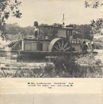 Woodchuck and the Sea Gull II