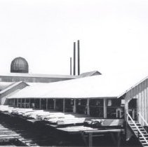 Saw Mill