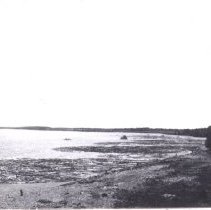 Callander Bay Log Booms