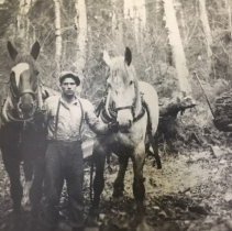 Man leading two horses