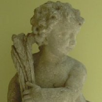 Boy Genius of Harvest