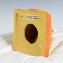 Saffron Yellow Bittersweet Bookend