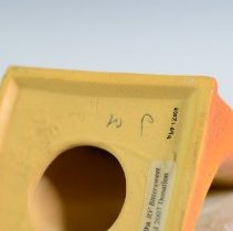 Saffron Yellow Bittersweet Bookend