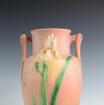 2007.1.17 Roseville Iris-2