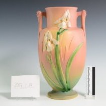 2007.1.17 Roseville Iris-4