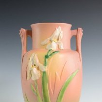 2007.1.17 Roseville Iris-1