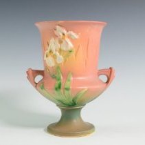 2007.1.18 Roseville Iris-1