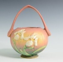 2007.1.22 Roseville Iris-1