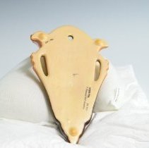 2007.1.586 Roseville Iris-3