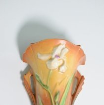 2007.1.586 Roseville Iris-1