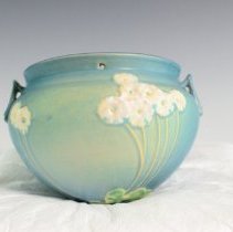 2007.1.284 Roseville Primrose-1