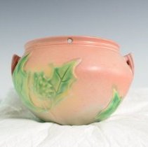 2007.1.292 Roseville Thornapple-2