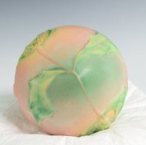 2007.1.292 Roseville Thornapple-3