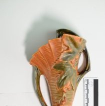 2007.1.401 Roseville Bushberry-6