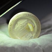 Fic2018.093 Weller Eocean-6