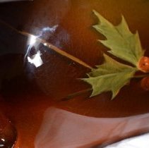 11540 Weller Louwelsa-6