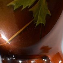 11540 Weller Louwelsa-7