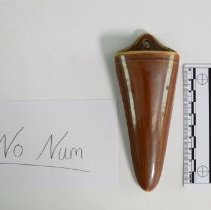 Fic2021.008 Fraunfelter-1