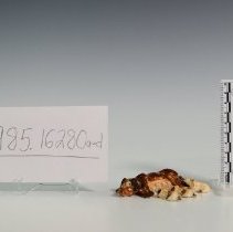 1985.16280ad Imperial Porcelain-12