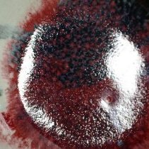 1963.11099 Toshiko Takaezu-7