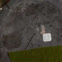 1971.11637ab Chris Dayman-6