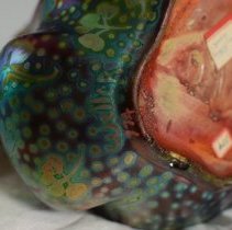 1961.0870 Weller Sicardo-4