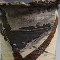 1972.11671 Rosene Zaros-2