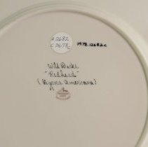 1978.12682c Findlay-4