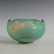 2007.1.10 Roseville Ixia-2