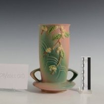 Ir07-08-2021.010 Roseville Snowberry-4