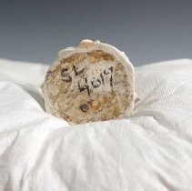 1943.10113 Meissen-11