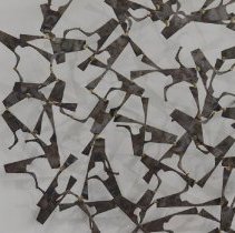 1989.15397 Tom Kerr-2