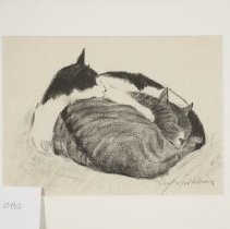 1954.10482 John Alonzo Williams (object Id)