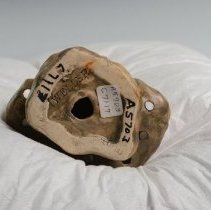 1991.15703 Weller Pottery Company-4