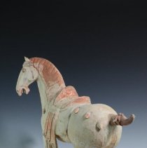 1950.10283 Diverse Cultures-18